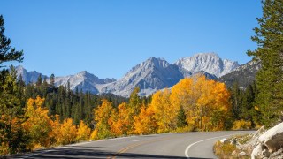 best fall foliage spots near LA