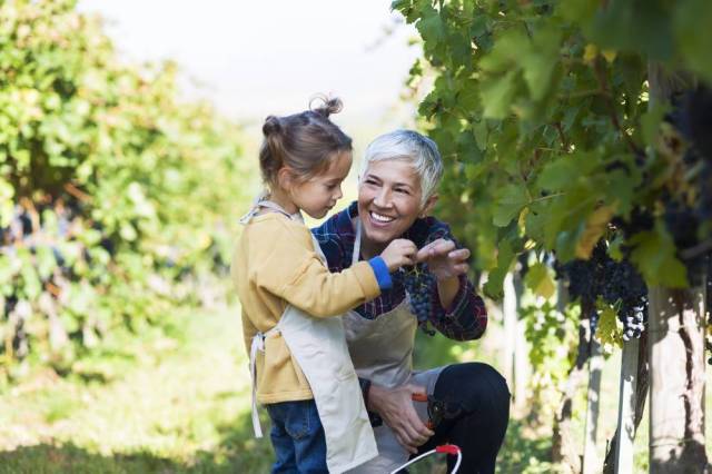 A girl and her grandmother look at grapes on a vinyeard