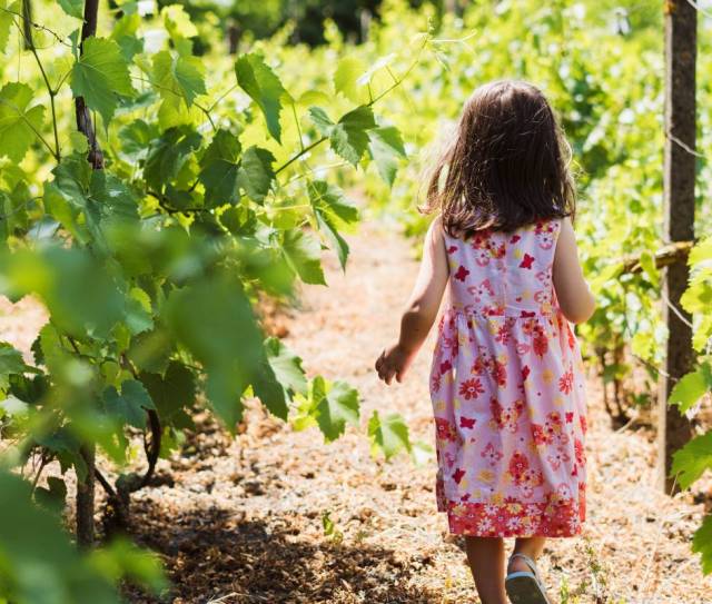 A girl walks down a vineyard