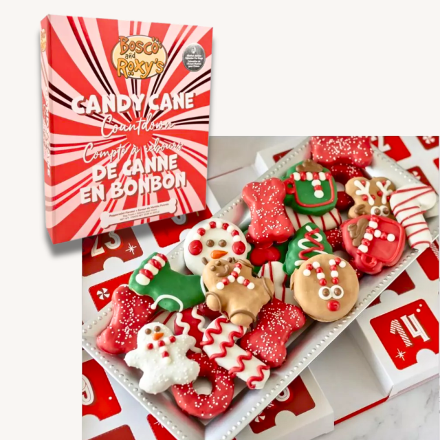 Advent Calendars Bosco and Roxy's Dog Advent Calendar