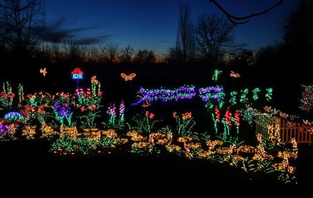 seattle christmas lights bellevue botanic garden garden d'lights