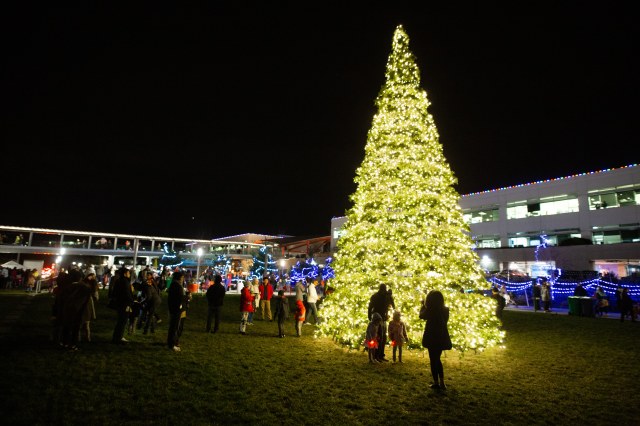 Seattle Christmas lights, Google Holiday lights