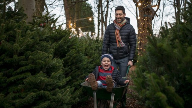 A boy sits in a wheel barrow while his dad pushes him in a Christmas Tree Farm