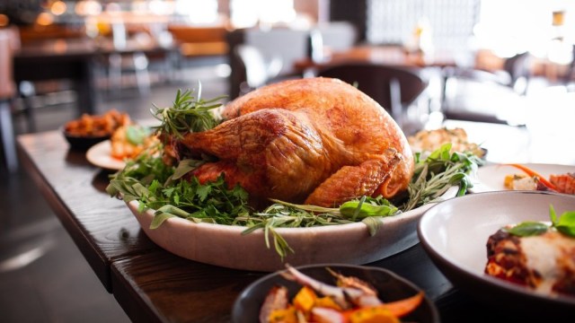 a turkey reading for thanksgiving dinner in seattle at Goldfinch