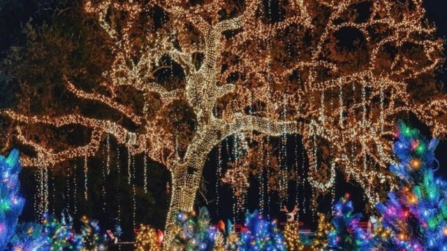 The Best Holiday Lights in Los Angeles You Need to See