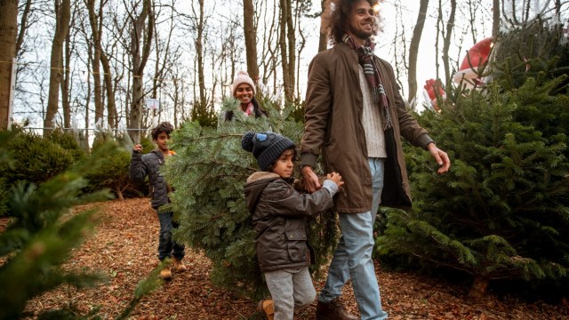 A family carries a tree out from a christmas tree farm atlanta