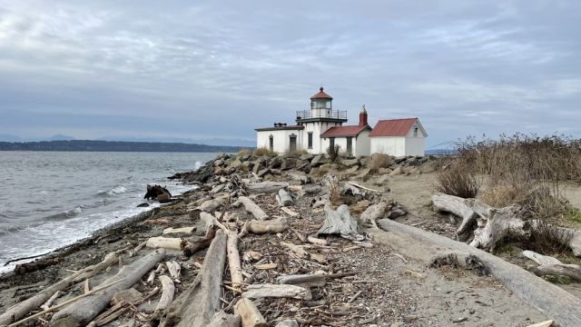 easy hikes near seattle discovery park