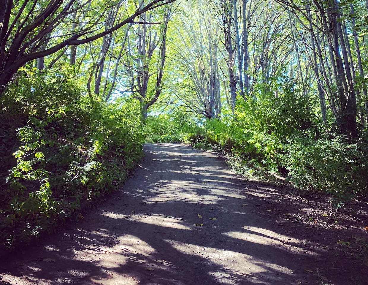 Forging a New Path despite the Stereotypes - Tinybeans