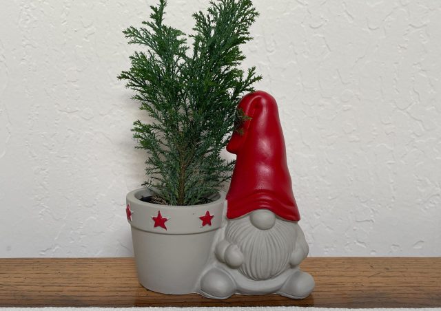 Trader Joe’s Has a New Planter & There’s Gnome Way We Can Resist It