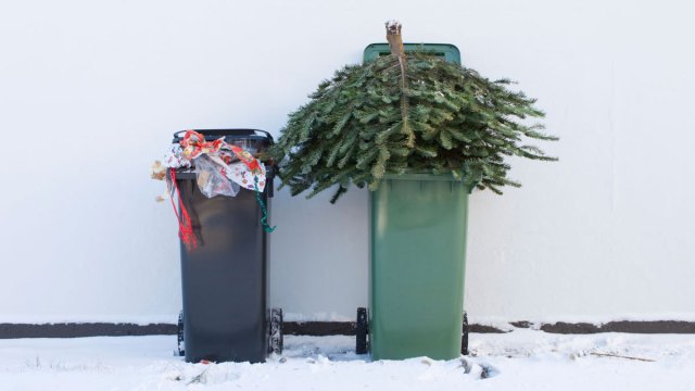 a recycling bin with a Christmas tree next to a trash can with wrapping paper, seattle christmas tree recycling spots and ideas