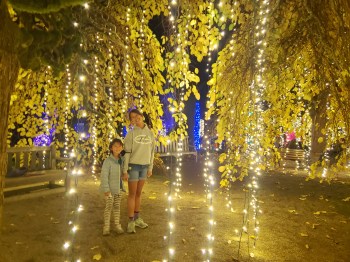 best holiday displays in SF