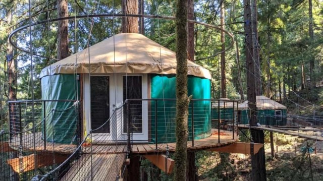best treehouses in CA
