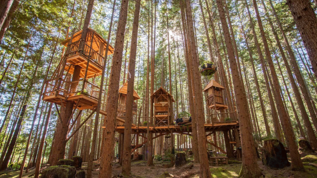 10 Enchanting Treehouses Families Can Rent in Washington