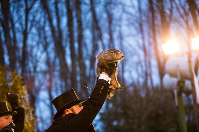 Interview with a Groundhog: Punxsutawney Phil Dishes the Dirt