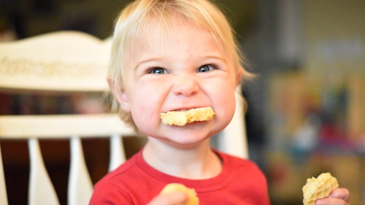 31 Super Easy Ideas for Toddler Dinners (That Aren't Buttered Noodles)