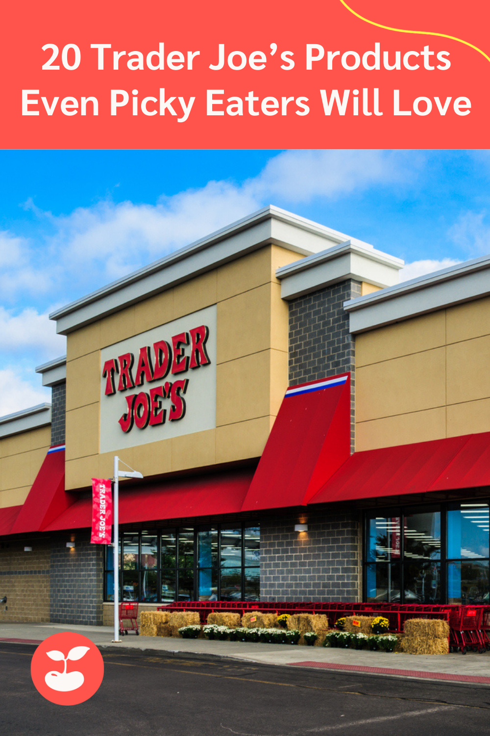 Trader Joe's Food That Even Picky Eaters Will Love