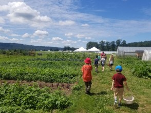 eco tours seattle, farm tours
