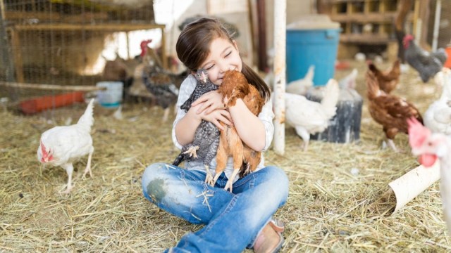 best family-friendly farm stays in California