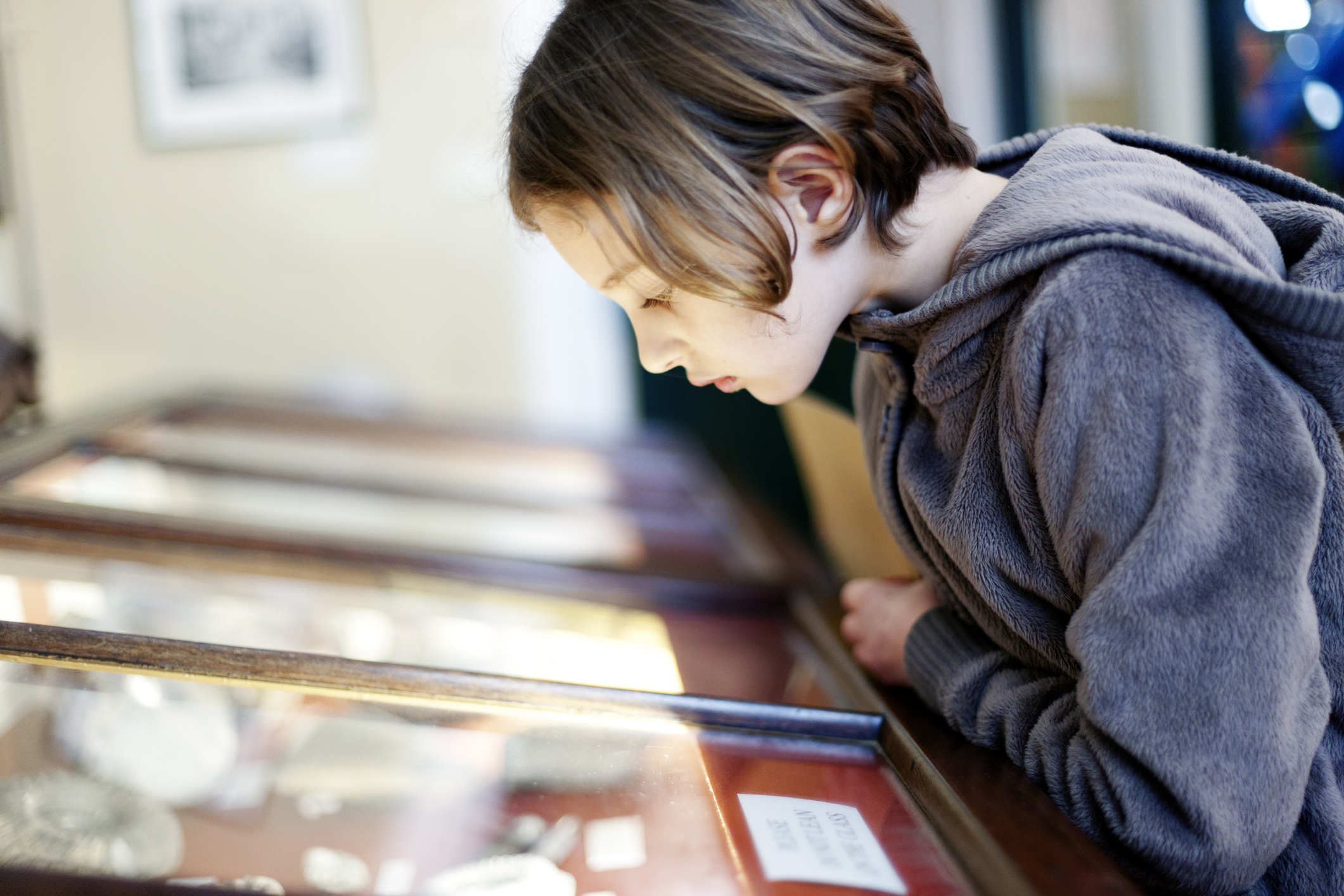 BEST THINGS TO SEE AT MUSEUM OF NATURAL HISTORY visual data 4