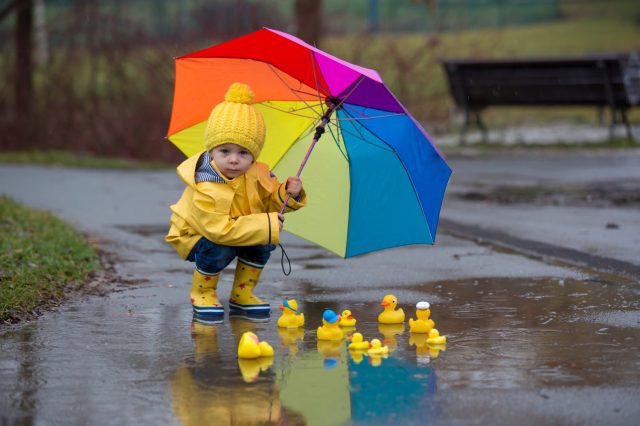 a toddler in a yellow raincoat with a rainbow umbrella squats over a bunch of rubber ducks in a puddle, during rainy days activities