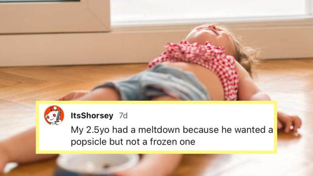 Parents Share All the Reasons Their Toddlers Are Having Meltdowns & It’s Hilarious