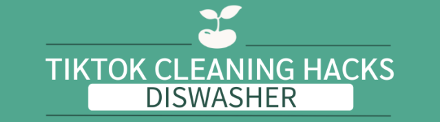 tiktok cleaning hacks toilets dishwasher