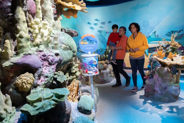 family visiting New York Aquarium in Coney Island 