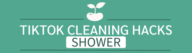tiktok cleaning hacks toilets shower