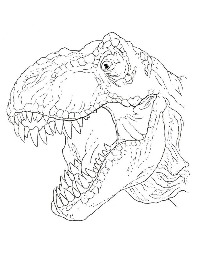Tyrannosaurus Rex realistic coloring pages for kids, printable