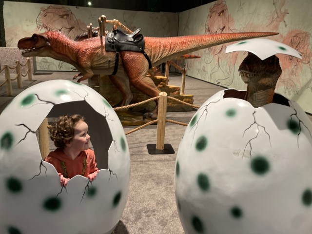 Dinos-Alive-Seattle-Exhibit