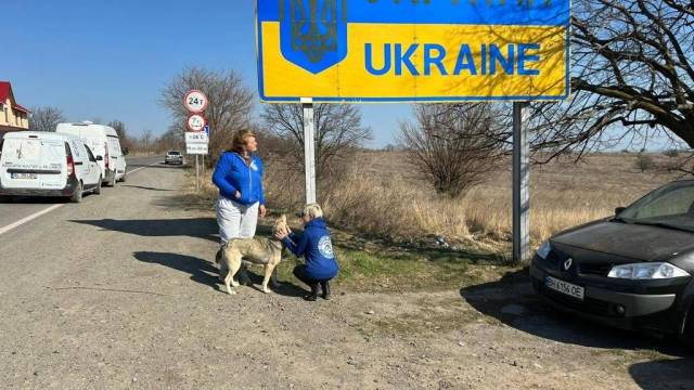 two women helping abandoned pets in ukraine