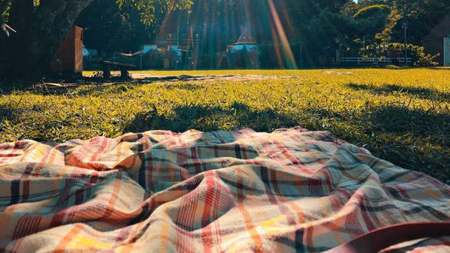 picnic blanket on grass in park