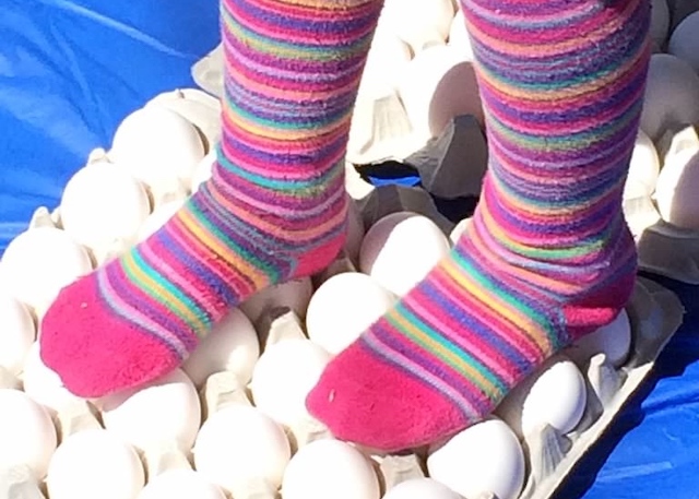 walking on eggs is a fun science experiment for kids