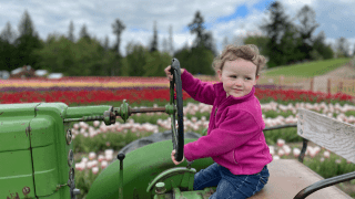 spring festivals seattle, baby animals and blooms