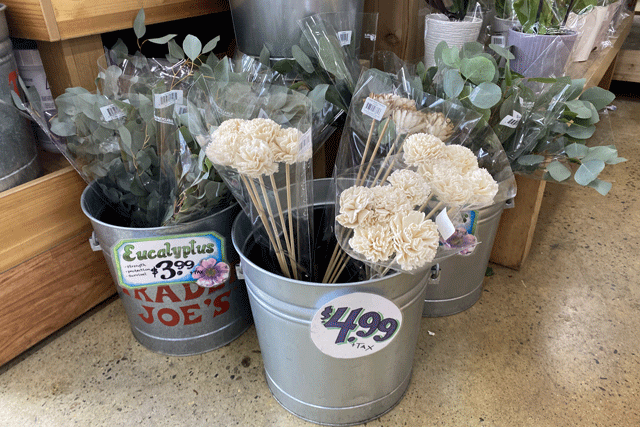 These flowers are some of Trader Joe's new items for spring 