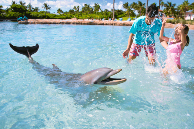 Child playing with dolphin at the Atlantis Bahamas