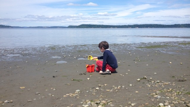 a kid digs in the sand at the best south sound beaches tolmie state park