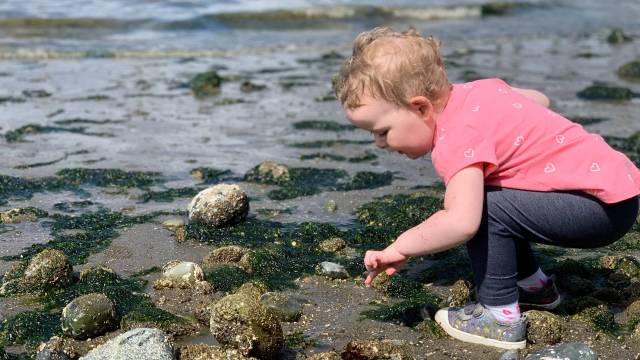 a girl points to a tidepool beach creature in seattle
