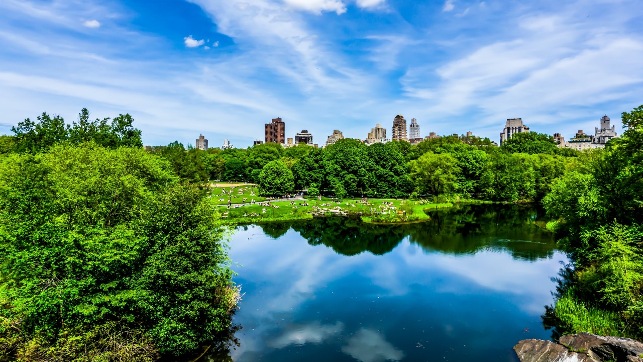 Best Picnic Spots in New York City Tinybeans