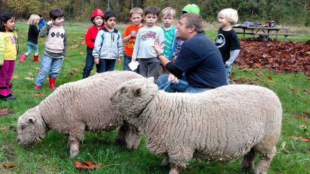 kids gather round a sheep at Farrel McWhirter in Redmond, one of the best free things to do with kids in seattle