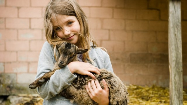 A girl holds a goat on farm
