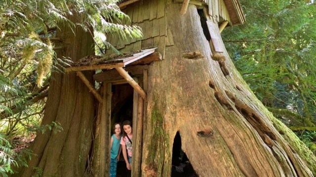 two kids look out from a treehouse while camping at a group campsite near Seattle
