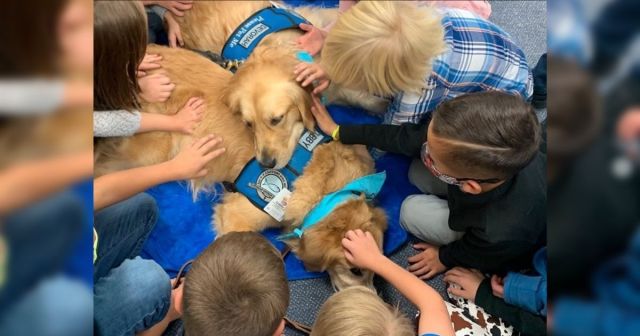 Comfort Dogs Arrive in Uvalde to Offer Support