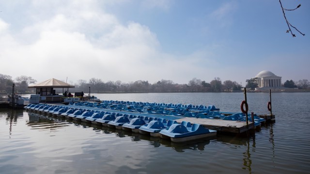 Pedal boats at the Tidal Basin in Washington, DC