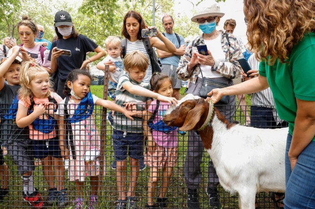 kids petting goats in riverside park