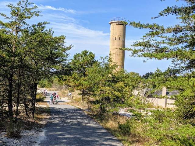 The bike path at Cape Henlopen State Park