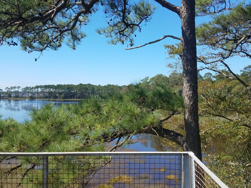 Outlook at Assawoman Bay State Park in Delaware 