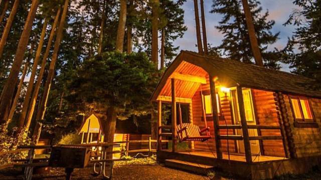 washington state parks cabins in bay view state park are lit up at night with tall trees surrounding them