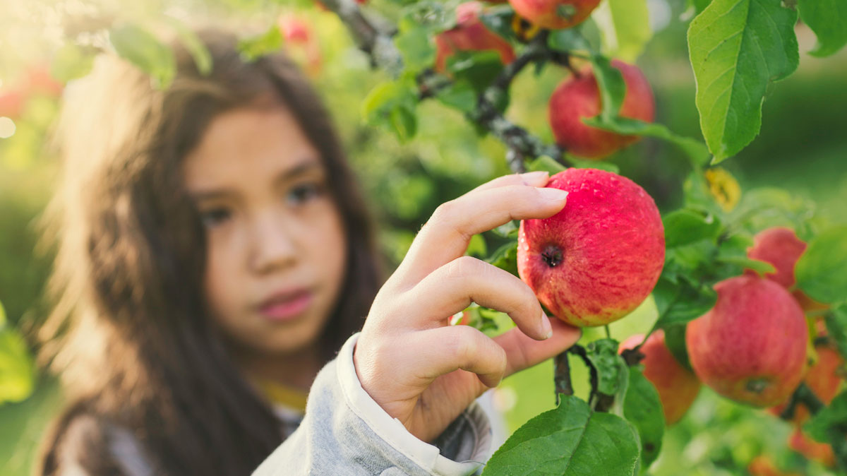 https://tinybeans.com/wp-content/uploads/2022/08/best-apple-orchards-portland-oregon-hood-river.jpg