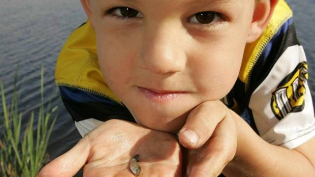 a young boy shows off a very small fish at a kid-friendly fishing spot
